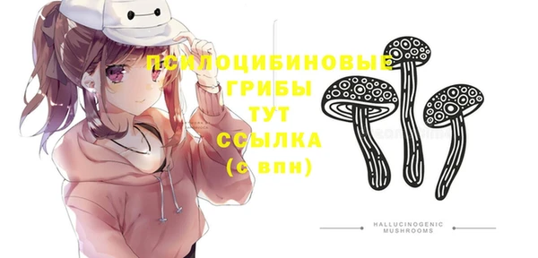 стаф Абинск