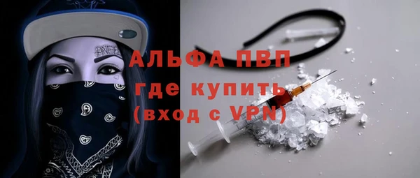 стаф Абинск