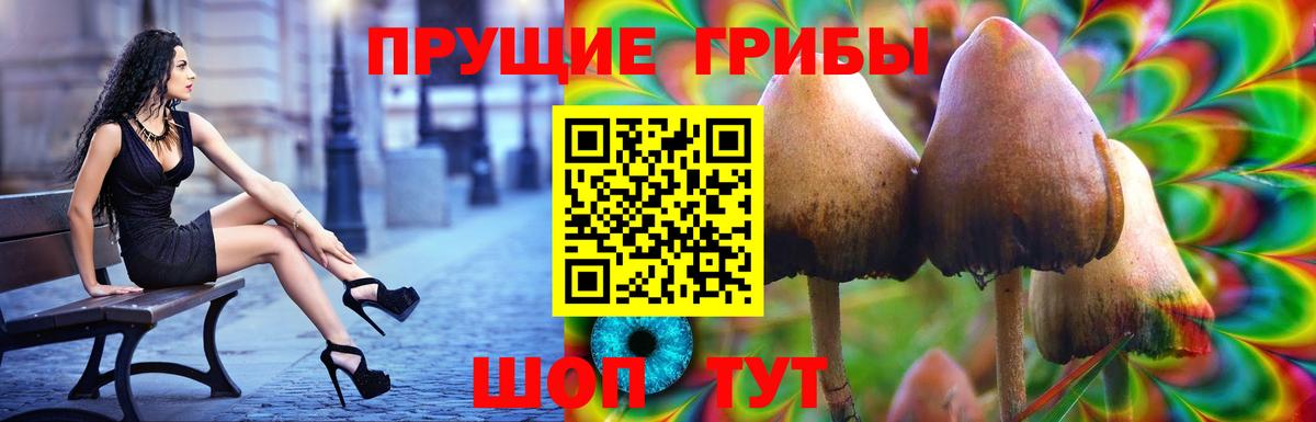 купить наркотики цена  Вход с VPN  Тамбов  Галлюциногенные грибы ЛСД 